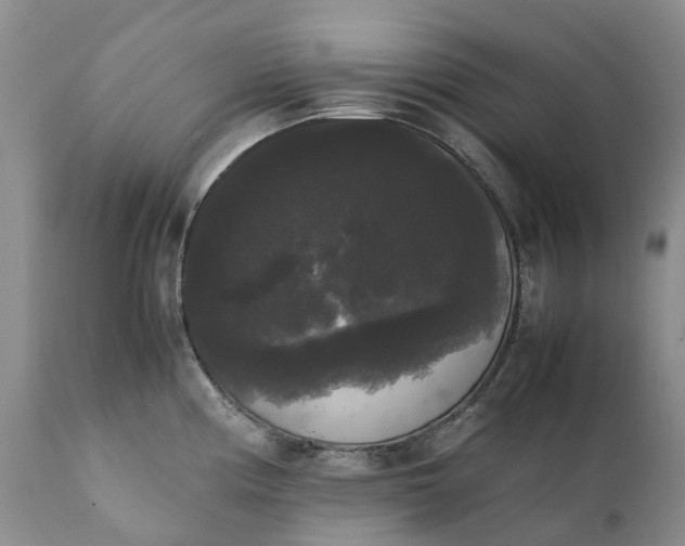 X0000111371194200907241238