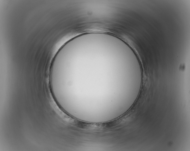 X0000111371195200907241238