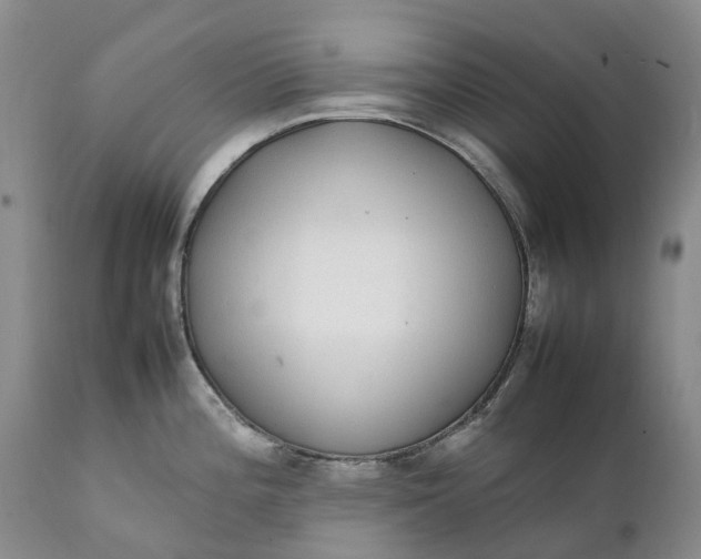 X0000111371196200907241238