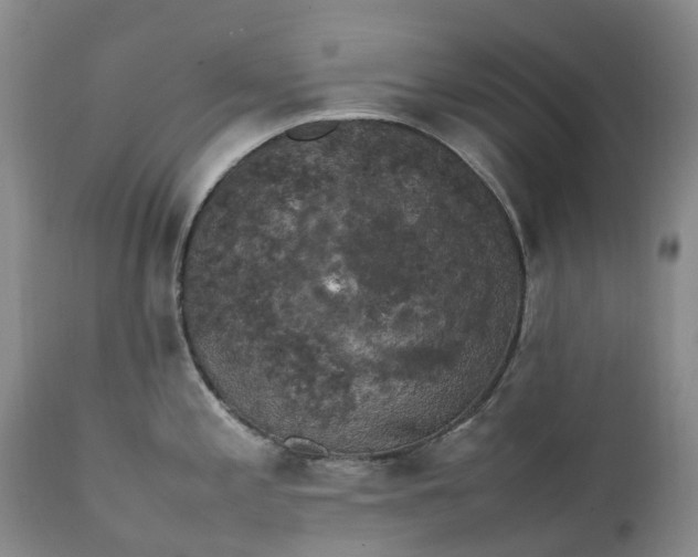 X0000111371197200907241238