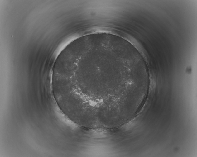 X0000111371198200907241238