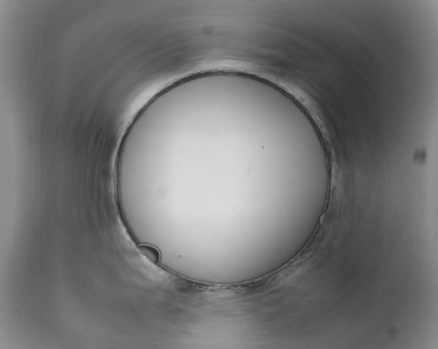 X0000111371199200907241238