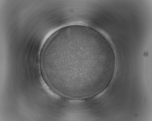 X0000111371200200907241238