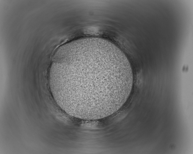 X0000111371201200907241237