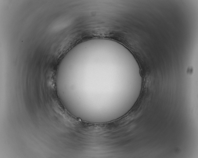 X0000111371202200907241237