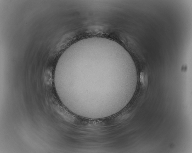 X0000111371203200907241237