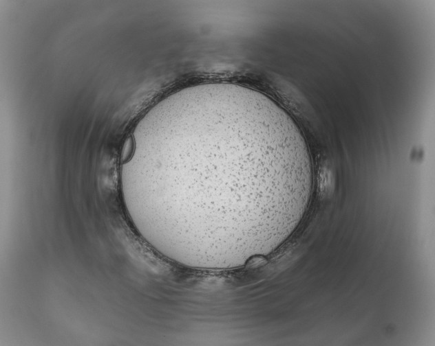 X0000111371204200907241238