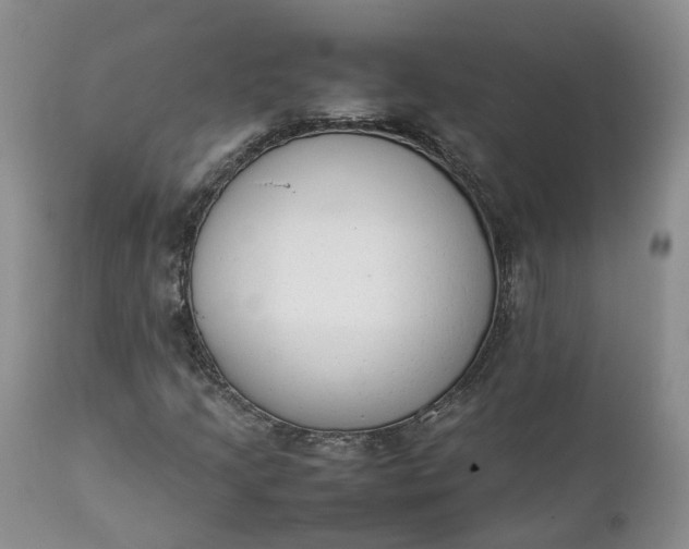 X0000111371205200907241238