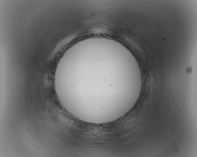 X0000111371207200907241238