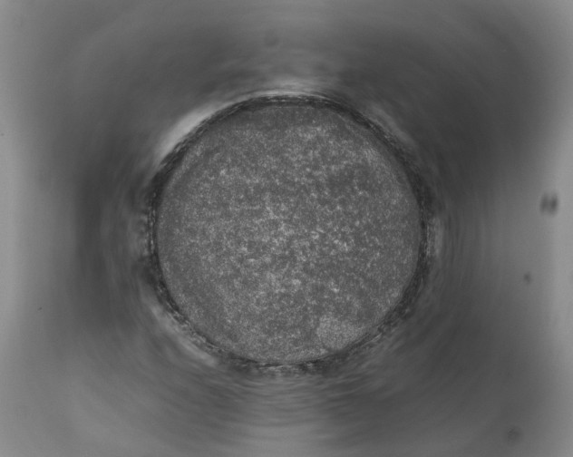 X0000111371208200907241238