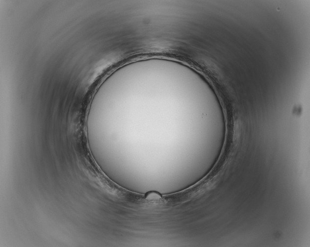 X0000111371210200907241238