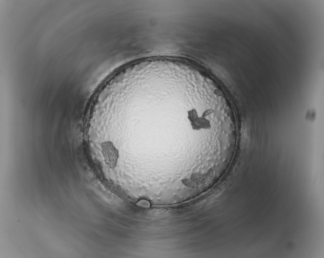 X0000111371212200907241238