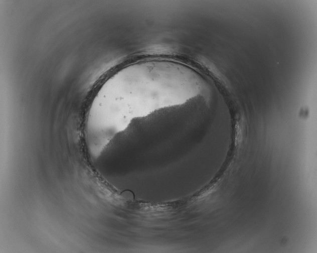 X0000111371213200907241238