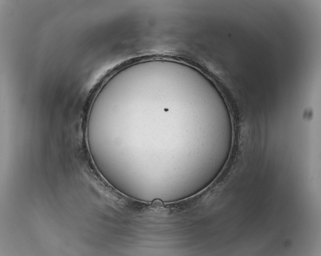 X0000111371214200907241238