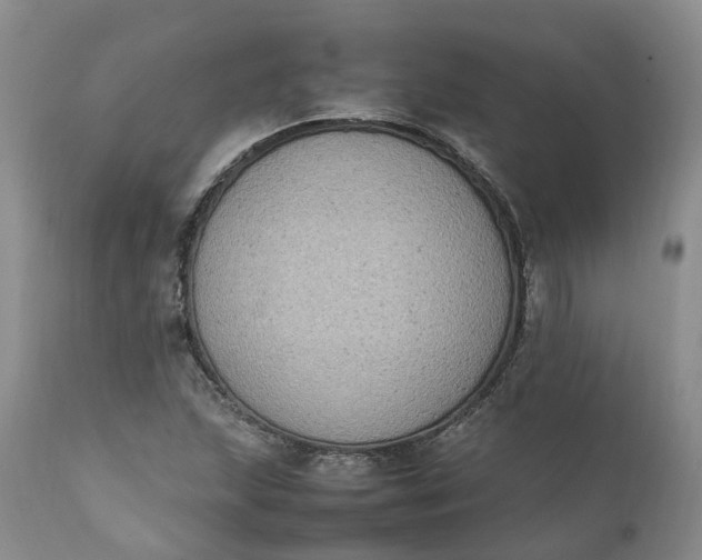 X0000111371215200907241238