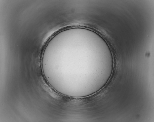 X0000111371216200907241238