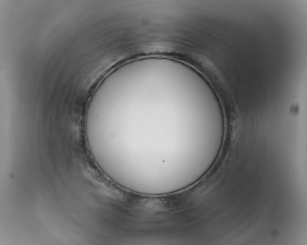 X0000111371217200907241238