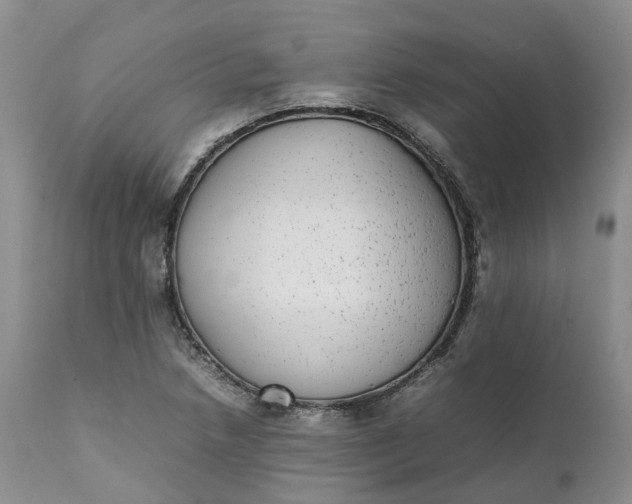 X0000111371218200907241238