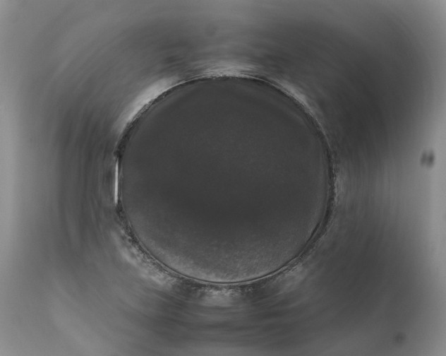 X0000111371219200907241238