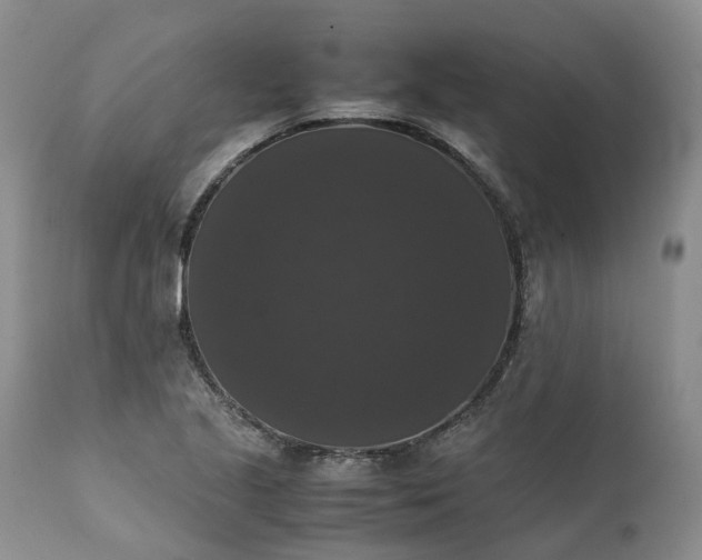 X0000111371221200907241238