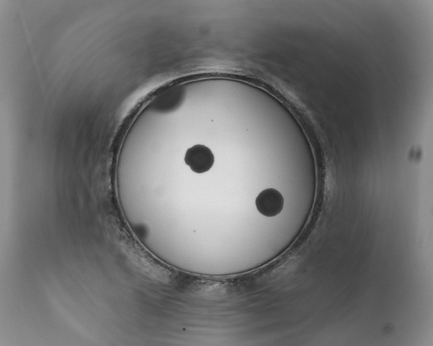 X0000111371222200907241238