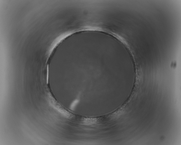 X0000111371223200907241238