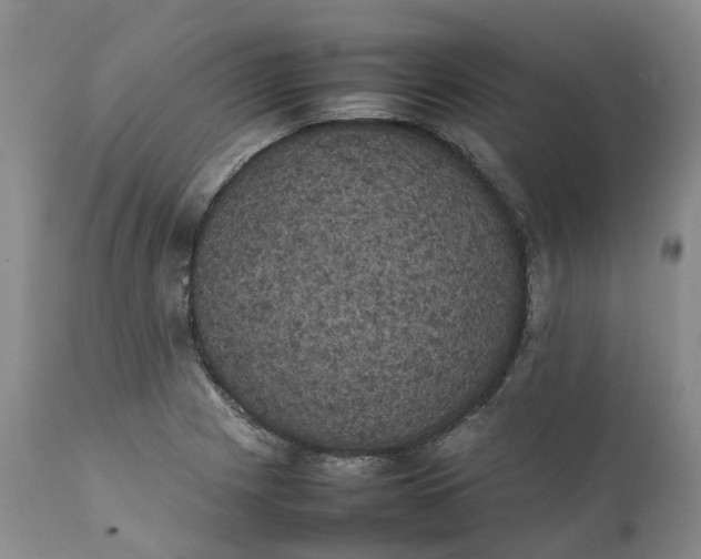 X0000111371225200907241238