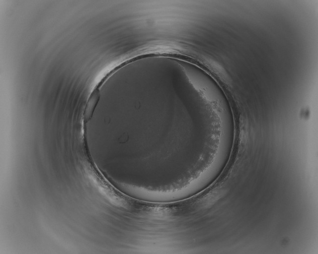 X0000111371226200907241238