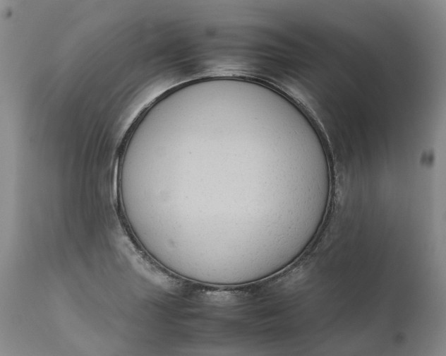 X0000111371227200907241238