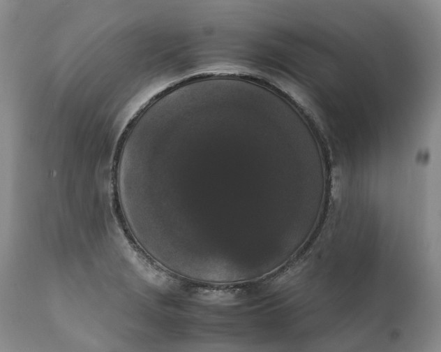 X0000111371229200907241238