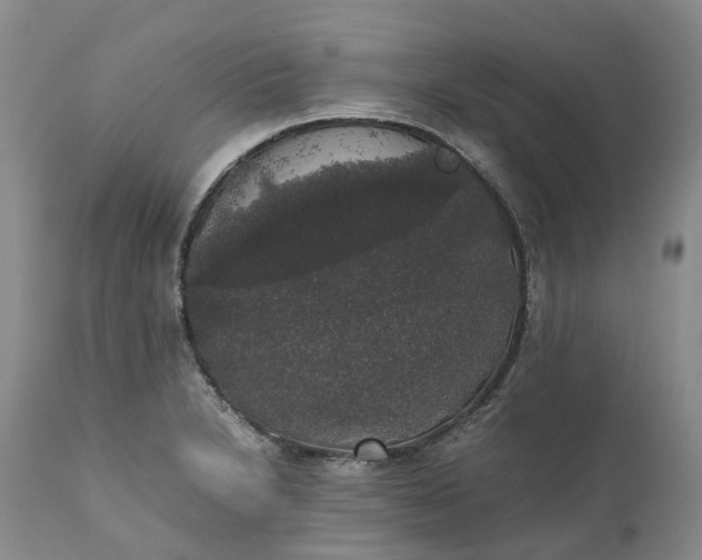 X0000111371230200907241238