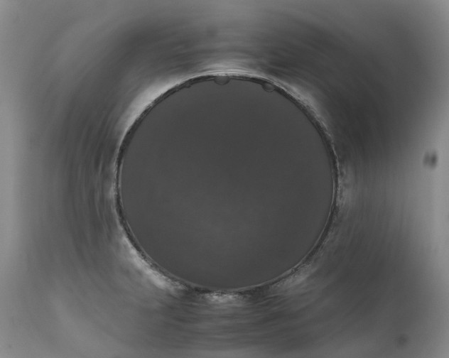 X0000111371231200907241238