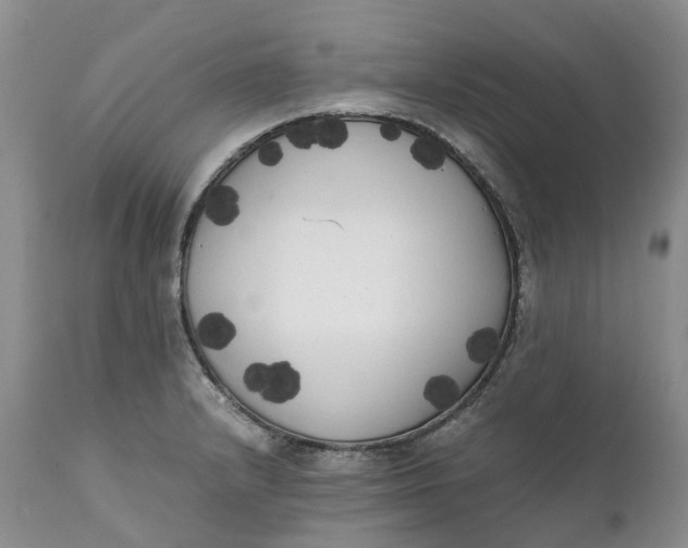 X0000111371232200907241238