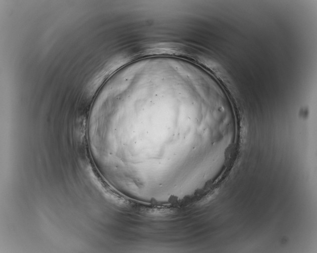 X0000111371233200907241238