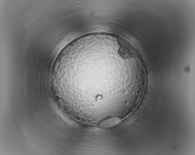 X0000111371234200907241238