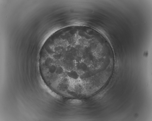 X0000111371235200907241238