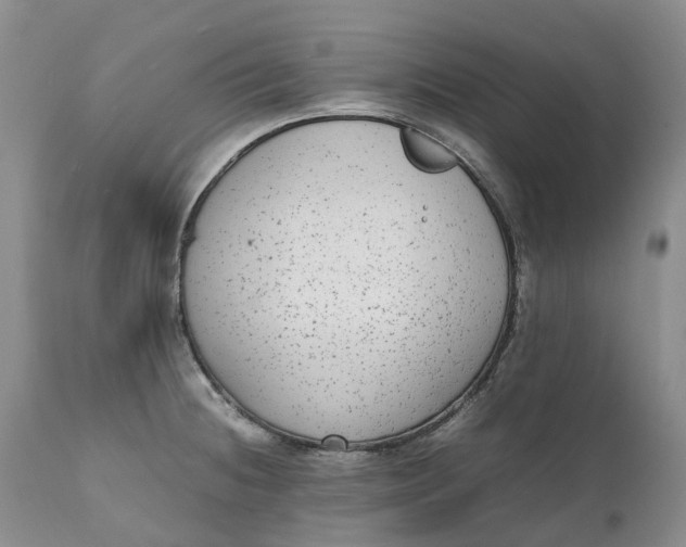 X0000111371236200907241238