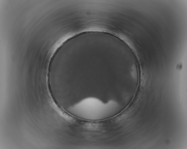 X0000111371237200907241238