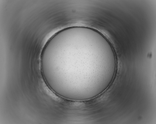 X0000111371238200907241238