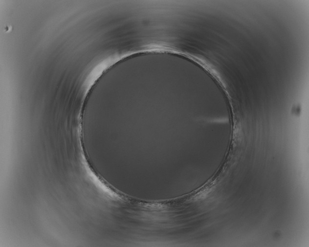 X0000111371239200907241238