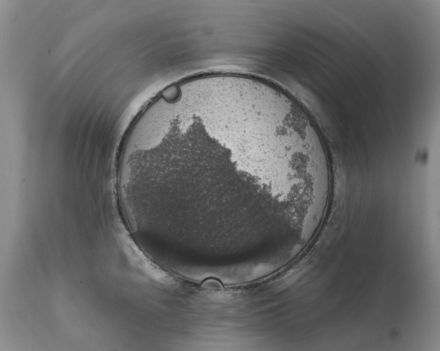 X0000111371240200907241238