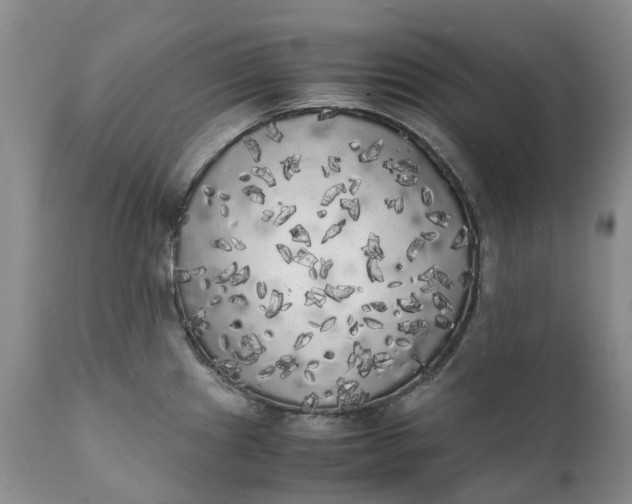 X0000111371241200907241238