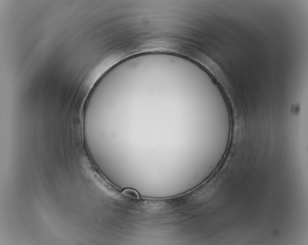 X0000111371242200907241238