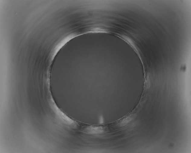 X0000111371243200907241238