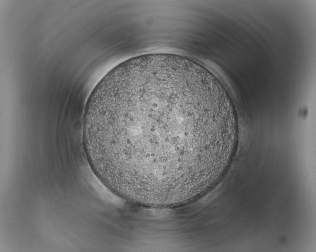 X0000111371244200907241238