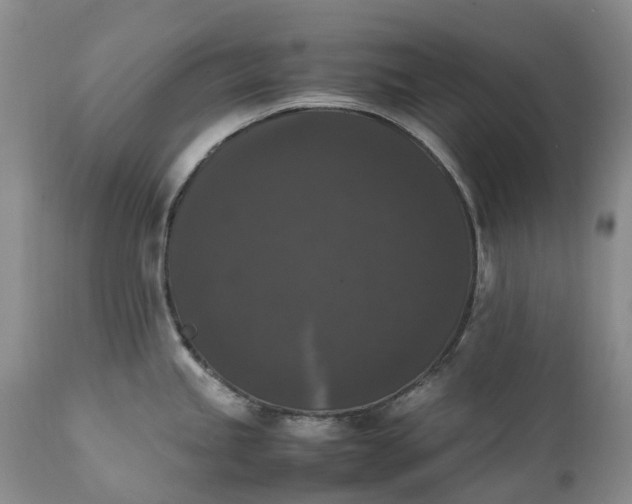 X0000111371245200907241238