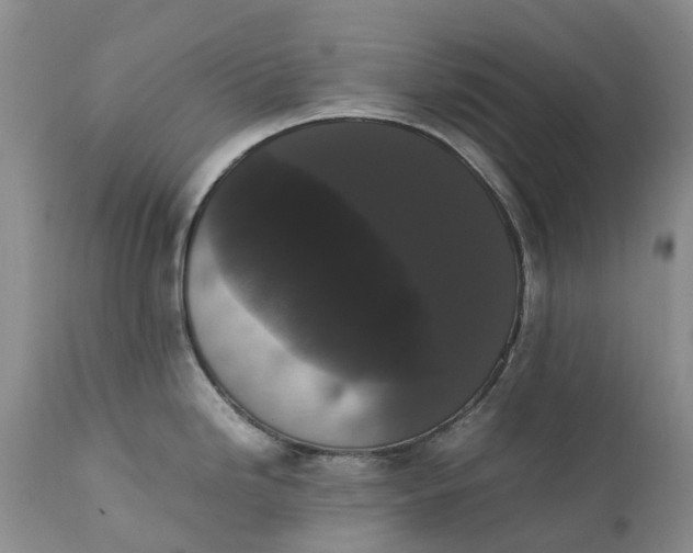 X0000111371246200907241238