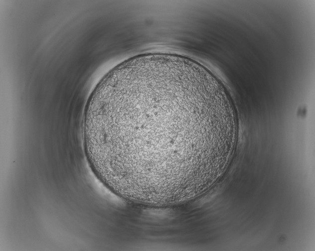 X0000111371247200907241238