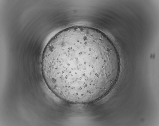 X0000111371248200907241238