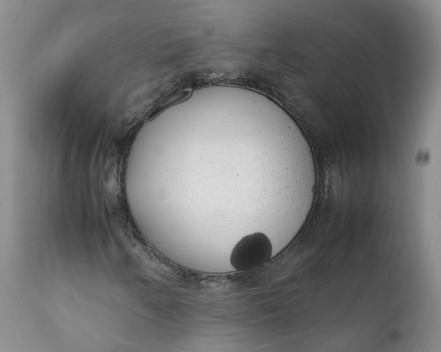 X0000111371250200907241237